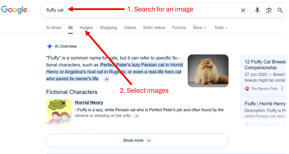 Search_image.png